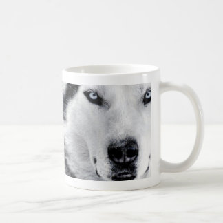 Mug huskys