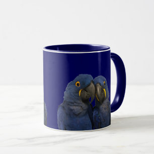 Mug Hyacinth Macaw Parrot Bird Rare Blue