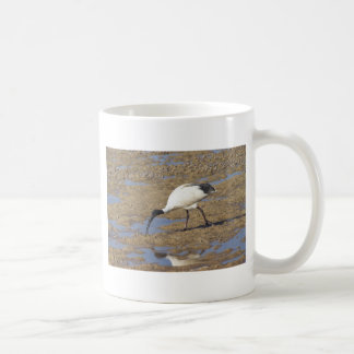 Mug IBIS sacré