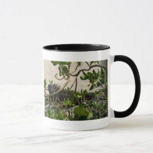 Mug Iguane