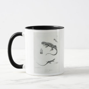 Mug Iguane décalé