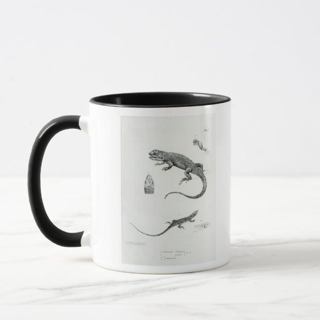 Mug Iguane décalé (Gauche)