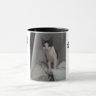 Mug Il effiloche chat joli