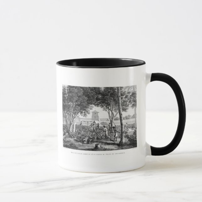 Mug Île de la Guam : Indigènes au travail dans le (Droite)