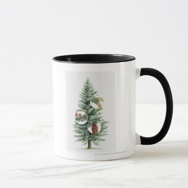 Mug Illustration d'arbre conifére avec des cônes (Droite)