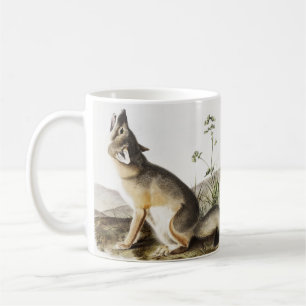 Mug Illustration de Fox (Vulpes velox)