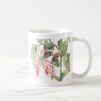 Mug Illustration de l'art botanique de Medinilla