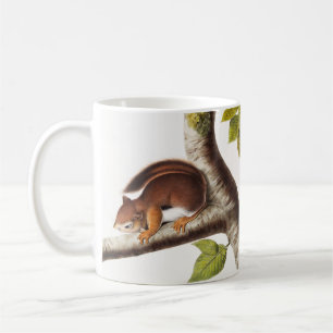 Mug Illustration de l'écureuil colombien de Richardson