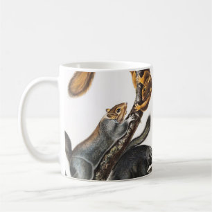 Mug Illustration de l'écureuil de chat (Sciurus cinere