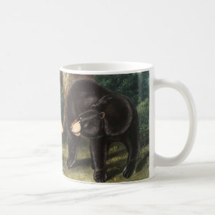 Mug Illustration de l'ours noir américain Ursus Americ