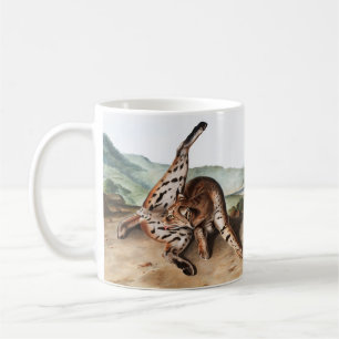 Mug Illustration de Lynx texane (Lynx rufus var macula