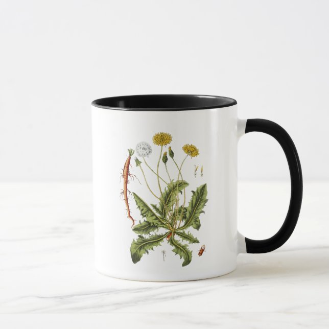 Mug Illustration de pissenlit vintage (Droite)