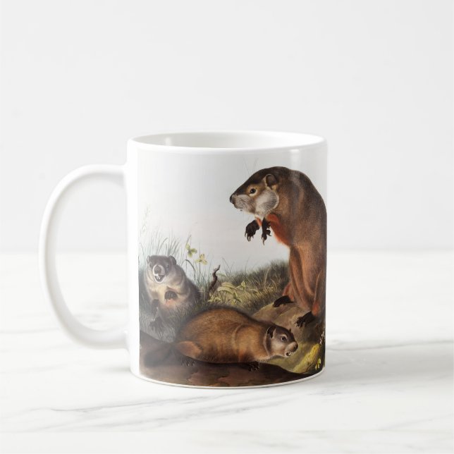 Mug Illustration de Woodchuck (Arctomys monax) (Gauche)