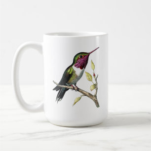 Mug Illustration du colibri d'Anna vintage