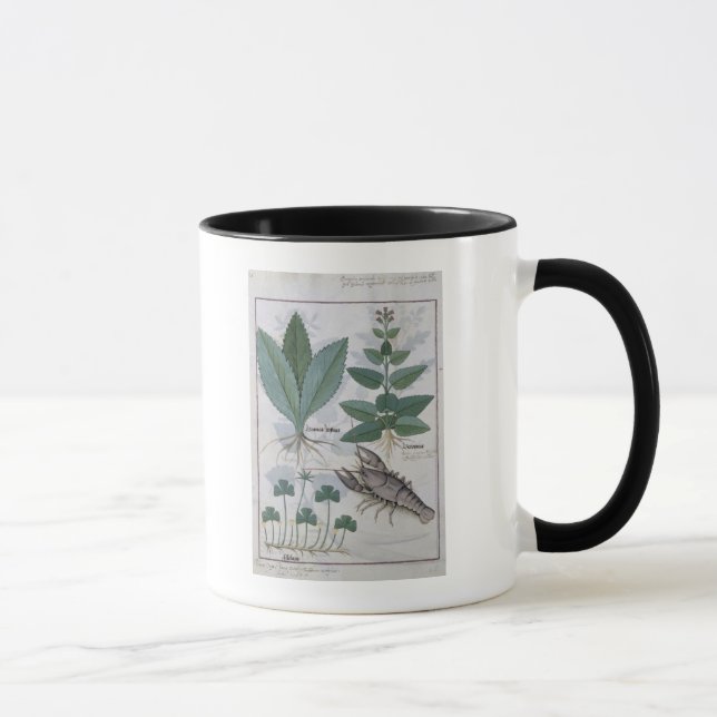 Mug Illustration du 'livre des médecines simples (Droite)