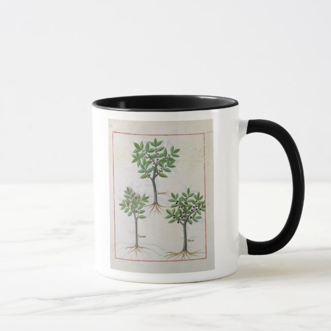 Mug Illustration du 'livre des médecines simples (Droite)