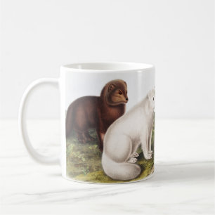 Mug Illustration du renard arctique (Vulpes lagopus)