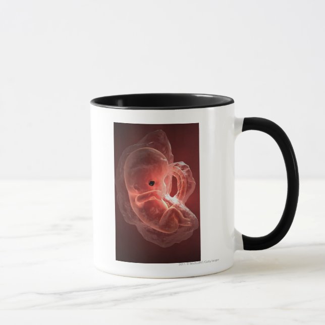 Mug Illustration d'un embryon se développant (Droite)
