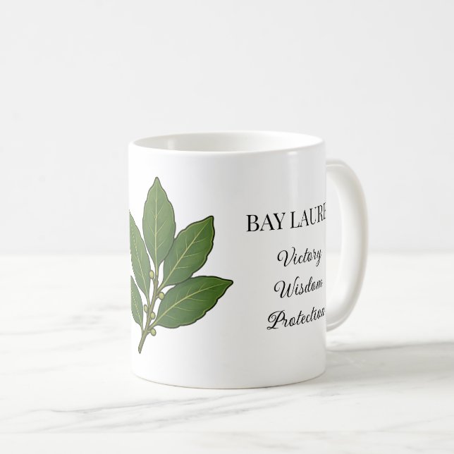 Mug Illustration et utilisations de la plante de lauri (Devant droit)