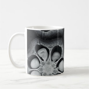 Mug Illustration plante vert et noir