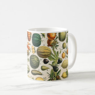 Mug Illustration scientifique végétale des fruits