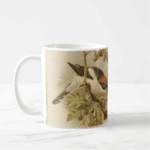 Mug Illustration vintage de Pie-grièche d'été