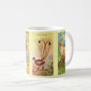Mug Illustration vintage de quatre oiseaux tropicaux L