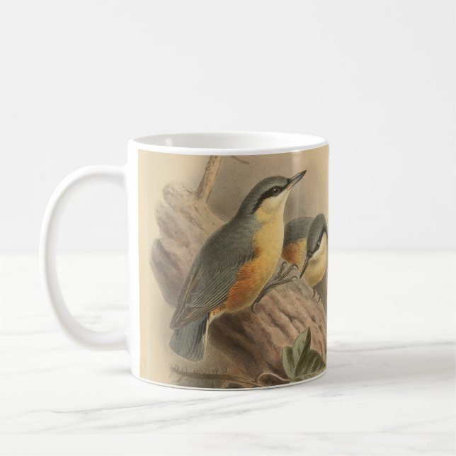 Mug Illustration vintage de sittelle (Gauche)
