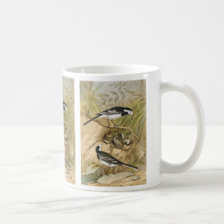 Mug Illustration vintage d'oiseau de hochequeue pie