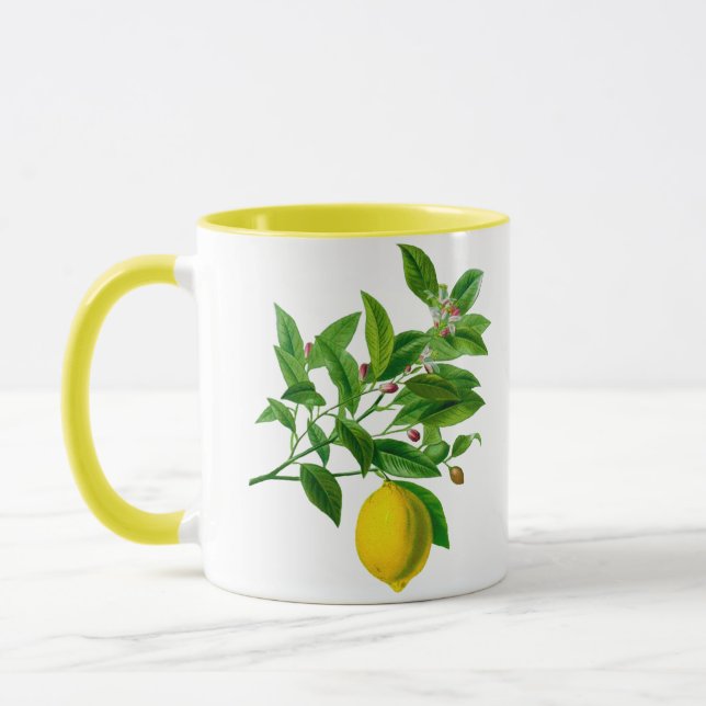 Mug Illustration vintage du citron botanique (Gauche)