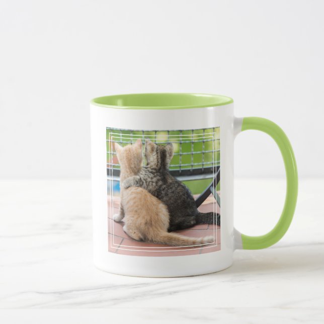 Mug Images de Getty | deux chatons sur un balcon (Droite)
