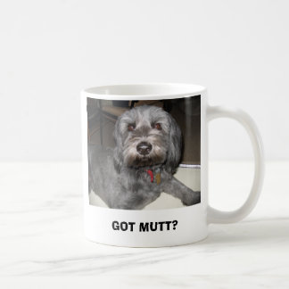 MUG IMG_0301, OBTENU LE CHIEN ?