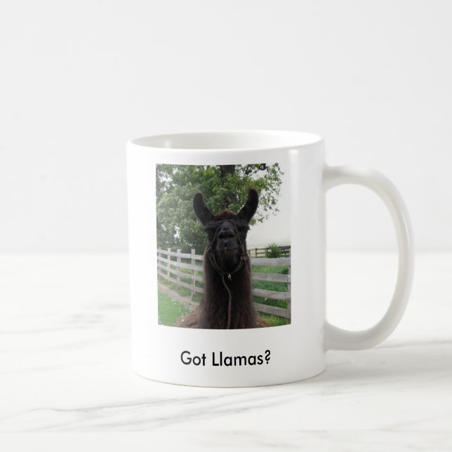 Mug IMG_0677, obtenu des lamas ? (Droite)