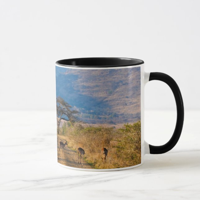 Mug Impala (Aepyceros Melampus), Hluhluwe-Umfolozi (Droite)
