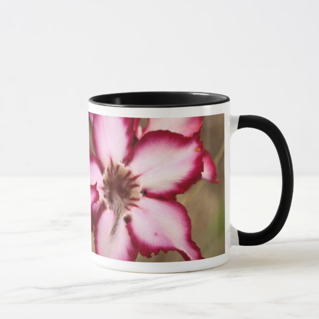 Mug Impala Lily (Adenium Multiflorum), Kruger (Droite)