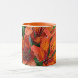 Mug Impression botanique d'hémérocalle, Photographie c