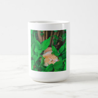 Mug Impression de phot du chat de point de vue mignon