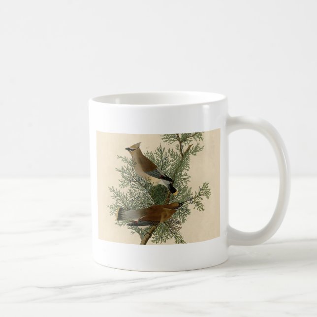Mug Impression d'oiseau de John James Audubon Jaseur b (Droite)
