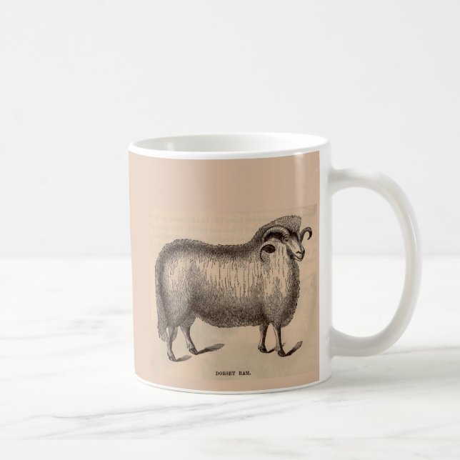 Mug Impression du 19e siècle Bélier Dorset (Droite)