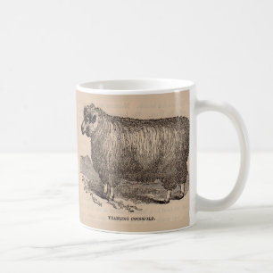 Mug Imprimé au 19e siècle année Cotswold brebis