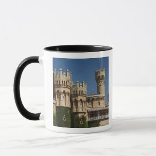 Mug INDE, Karnataka, Bangalore : Palais de Bangalore