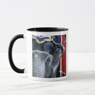 Mug Inde, Rajasthan, Jaipur. Fort d'Amber.