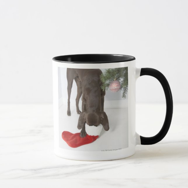 Mug Indicateur aux cheveux courts allemand collant le (Droite)