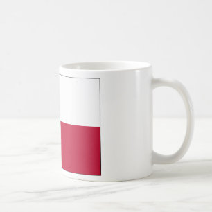 Mug Indicateur Texas Lone Star