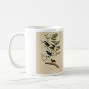 Mug Indigo Bunting d'Audubon's Birds of America
