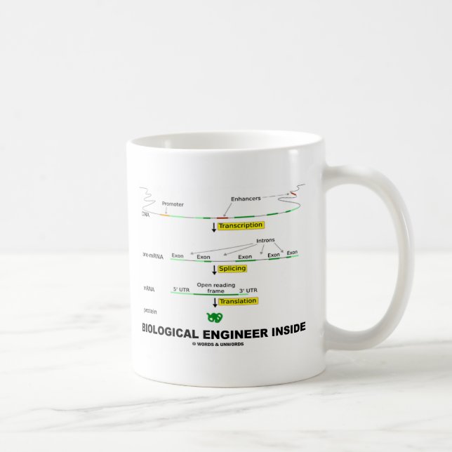 Mug Ingénieur biologique à l'intérieur (Droite)