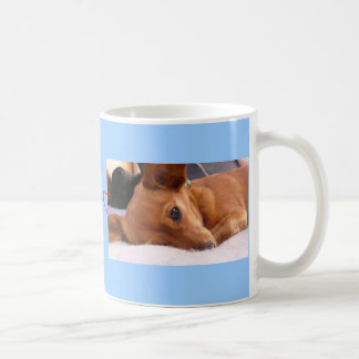 Mug Inki le chiwawa