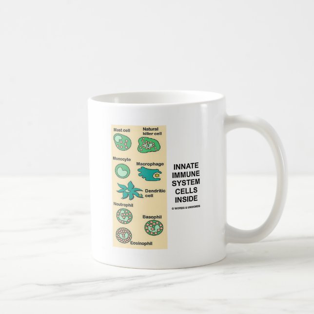 Mug Innuer les cellules système d'immunisations à l'in (Droite)