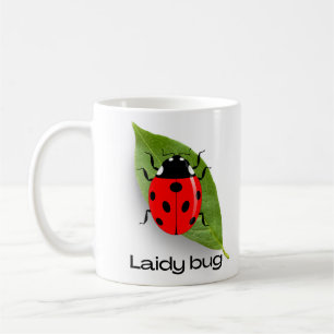 Mug insecte, insecte