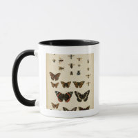 Insectes de jardin par Vision Studio